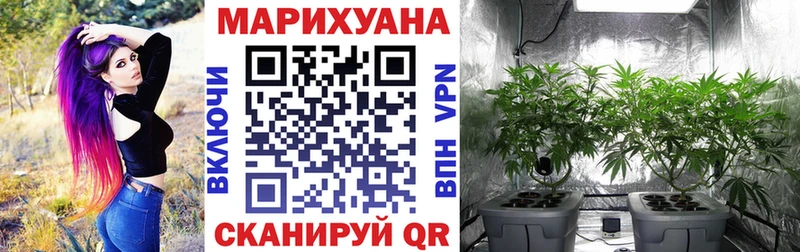 Наркошоп купить ГЕРОИН  Канабис  Меф мяу мяу  ГАШИШ  Гурьевск